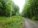 0 Foliage Lane - Photo 3