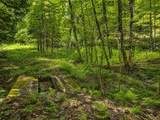 785 Leroux Road - Photo 44
