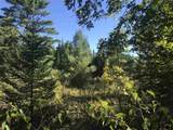 690 High Ridge Road - Photo 12