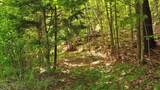 Lot 16 Barnett Road - Photo 19