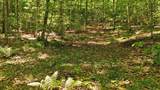 Lot 16 Barnett Road - Photo 26