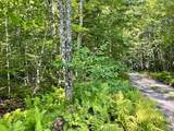 501 Martins Pond Lane - Photo 7