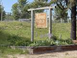 1374 Village Road - Photo 44