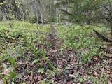 MapB2Lot16 Deadwater Road - Photo 11
