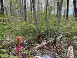 MapB2Lot16 Deadwater Road - Photo 16