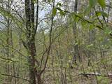 MapB2Lot16 Deadwater Road - Photo 17