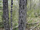 MapB2Lot16 Deadwater Road - Photo 18