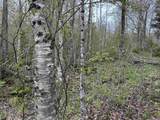 MapB2Lot16 Deadwater Road - Photo 19