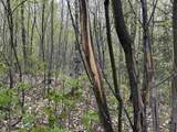 MapB2Lot16 Deadwater Road - Photo 24