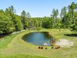 1012 Branch Brook Road - Photo 34