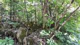0 Summit Road - Photo 10