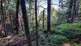 0 Summit Road - Photo 13