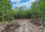 Lot 4 Winona Road - Photo 6