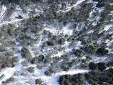 0 Linden Way - Photo 20