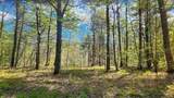 0 Linden Way - Photo 8