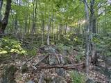  Scattered Timber Road - Photo 11