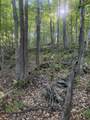  Scattered Timber Road - Photo 13