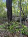  Scattered Timber Road - Photo 14