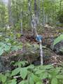  Scattered Timber Road - Photo 15