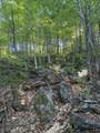  Scattered Timber Road - Photo 19