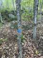  Scattered Timber Road - Photo 20