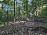 Scattered Timber Road - Photo 5