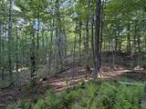  Scattered Timber Road - Photo 6