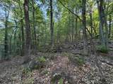  Scattered Timber Road - Photo 7