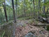  Scattered Timber Road - Photo 8