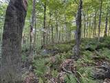  Scattered Timber Road - Photo 9