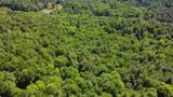 00 Bull Frog Hollow Road - Photo 17