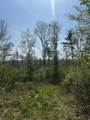  Baine Road - Photo 6