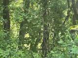 00 Mountain Road - Photo 16