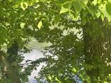00 Mountain Road - Photo 5