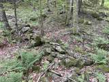 00 Snell Road - Photo 14