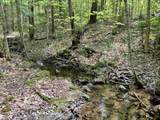 00 Snell Road - Photo 2