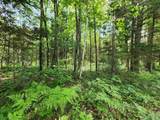 00 Boise Cascade Road - Photo 11