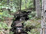 40 Hominy Pot Road - Photo 10