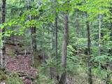 40 Hominy Pot Road - Photo 9