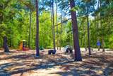 503 Belknap Mountain Road - Photo 14