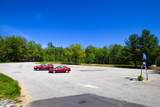 503 Belknap Mountain Road - Photo 19