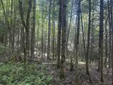 0 Roaring Brook Road - Photo 10