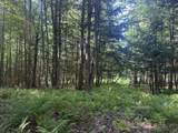 0 Roaring Brook Road - Photo 11