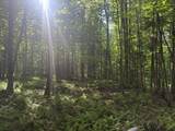 0 Roaring Brook Road - Photo 16
