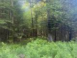 0 Roaring Brook Road - Photo 2