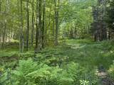 0 Roaring Brook Road - Photo 4