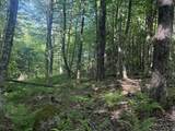 0 Roaring Brook Road - Photo 6
