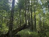 0 Roaring Brook Road - Photo 7
