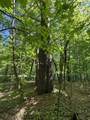 2800 Dugar Brook Road - Photo 2