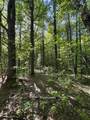 2800 Dugar Brook Road - Photo 9